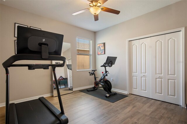 507 Belle Fern Ct, Ocoee, FL 34761 - photo 36