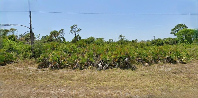 4 Haul Ct, Placida, FL 33946 - photo 1