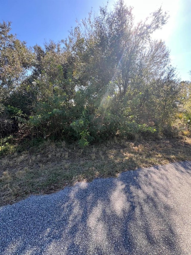 0 Rabbitt Ave, North Port, FL 34291 - photo 3
