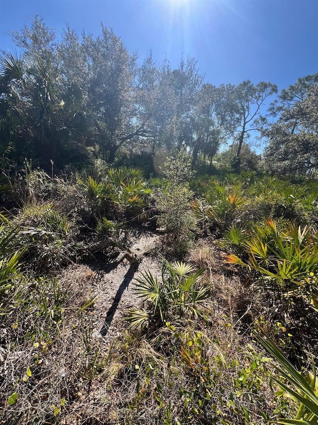 0 Rabbitt Ave, North Port, FL 34291 - photo 6