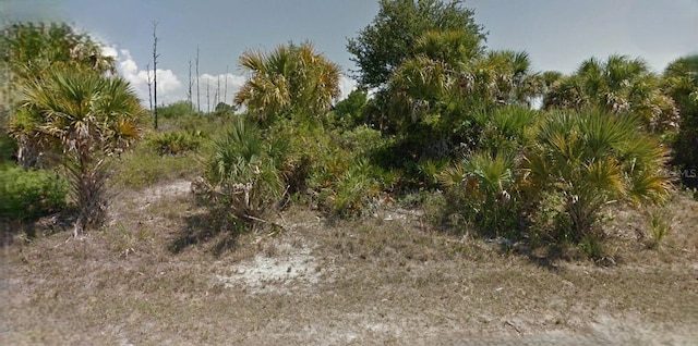 Ponds St, North Port, FL 34286 - photo 1
