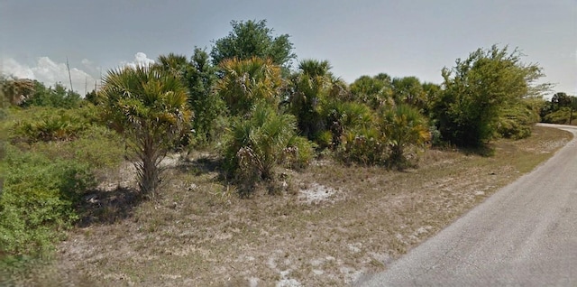 Ponds St, North Port, FL 34286 - photo 3