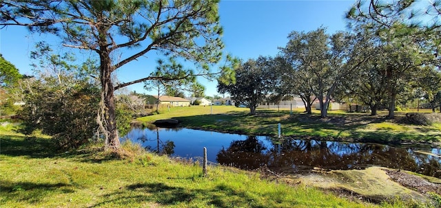 536 Pinehurst Cv, Kissimmee, FL 34758 - photo 21