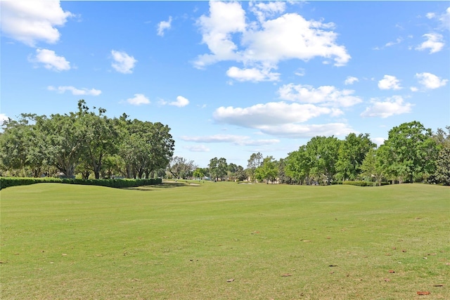 1037 N Virginia Ave, Winter Park, FL 32789 - photo 8