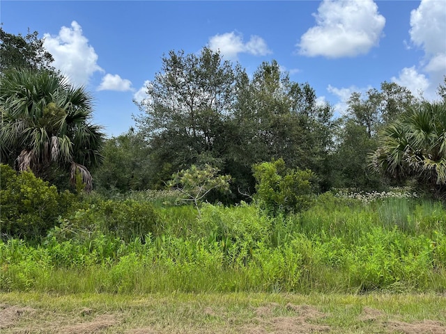 Listing photo 3 for 17915 NW 290th St, Okeechobee FL 34972