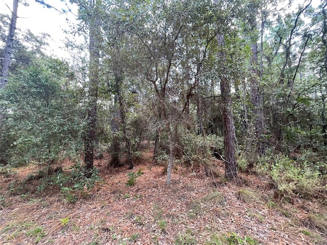 Sleepy Pt, Melrose FL, 32666 land for sale