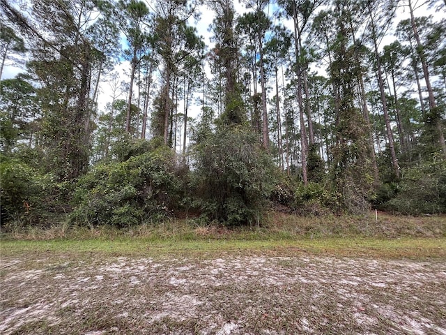 Listing photo 3 for 108 SE 5th St, Georgetown FL 32139