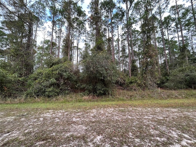 108 SE 5th St, Georgetown FL, 32139 land for sale