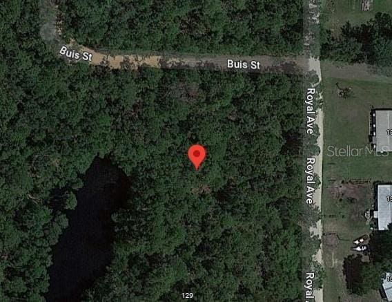 TBD Royal Ave, Interlachen FL, 32148 land for sale