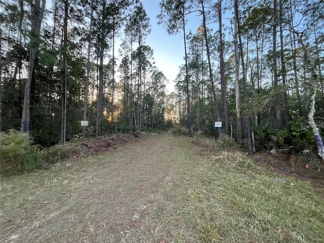 Listing photo 3 for TBD Royal Ave, Interlachen FL 32148