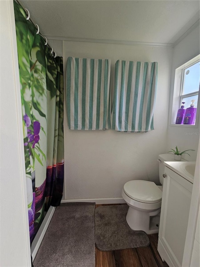 bathroom with vanity, hardwood / wood-style flooring, and toilet