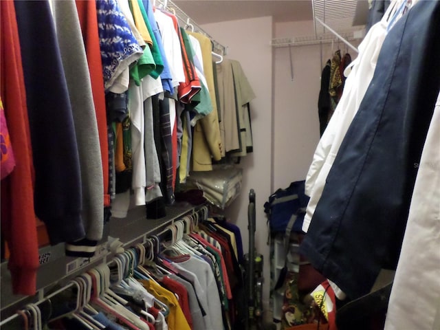 view of spacious closet