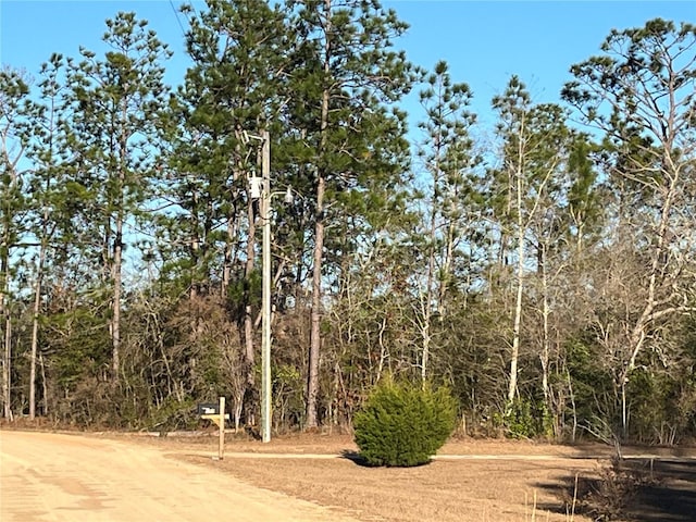 Listing photo 2 for Goreville Ave, Alford FL 32420