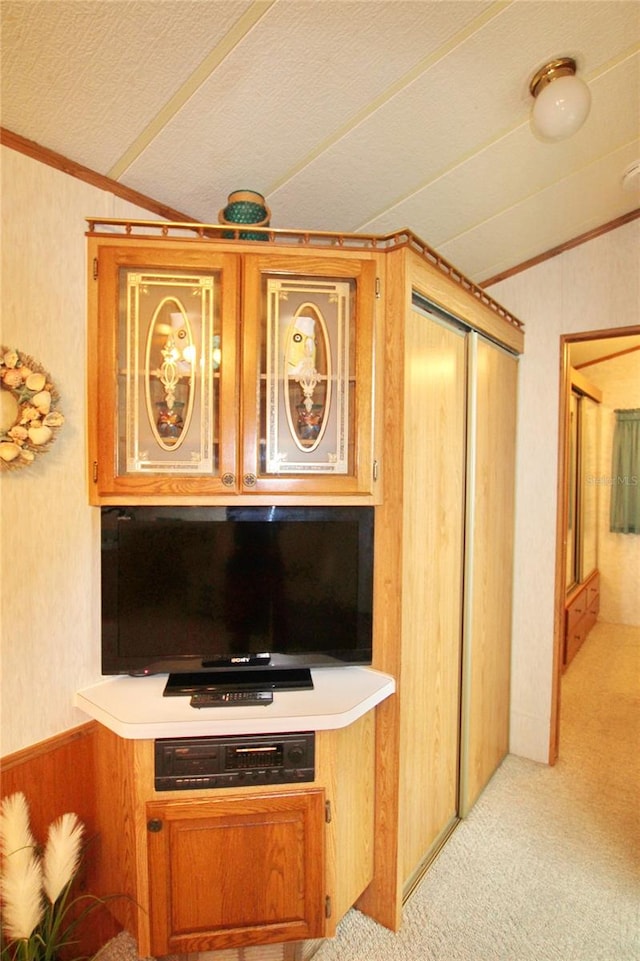 living room featuring lofted ceiling, a textured ceiling, and light colored carpet