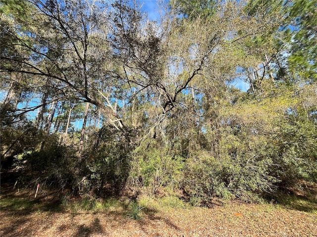 104 SE 5th St, Georgetown FL, 32139 land for sale