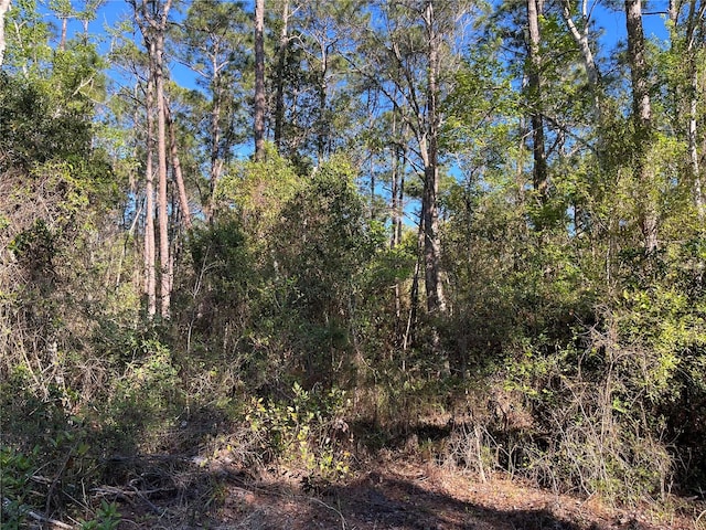 208 SE 3rd St, Georgetown FL, 32139 land for sale