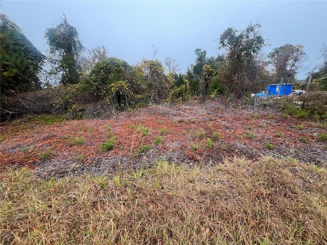 512 Dogwood Ave, Georgetown FL, 32139 land for sale