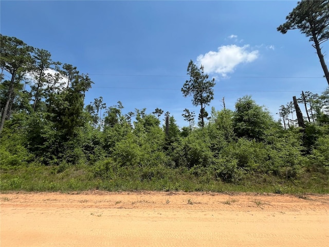 Beaverhead St, Alford FL, 32420 land for sale