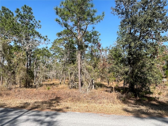 Wateroak Ave, Dunnellon FL, 34431 land for sale