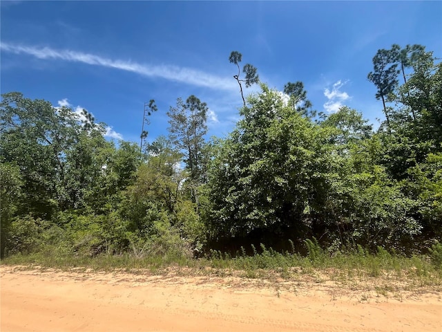 Tamarac Rd, Marianna FL, 32448 land for sale