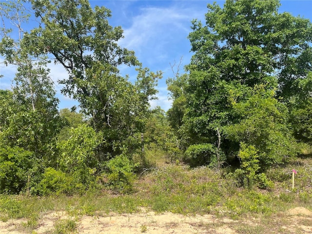 Rome Ave, Alford FL, 32420 land for sale