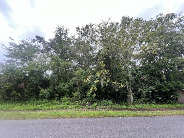 W Palmetto St, Palatka FL, 32177 land for sale