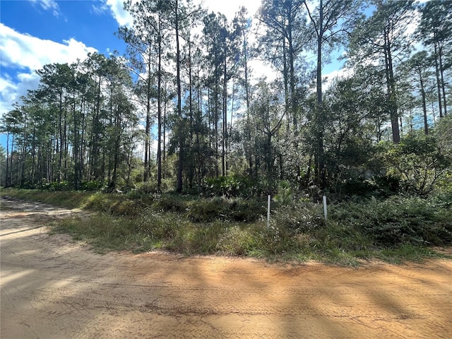 Susan St, Interlachen FL, 32148 land for sale