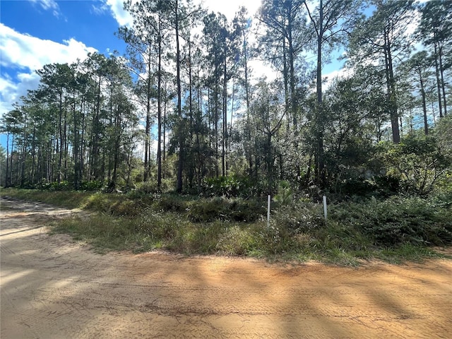 Susan St, Interlachen, FL 32148