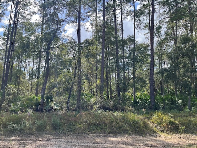 Susan St, Interlachen, FL 32148