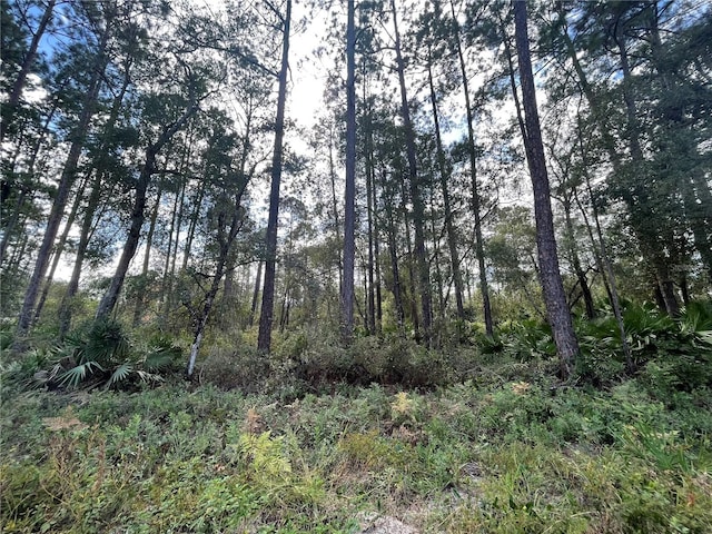 Susan St, Interlachen, FL 32148