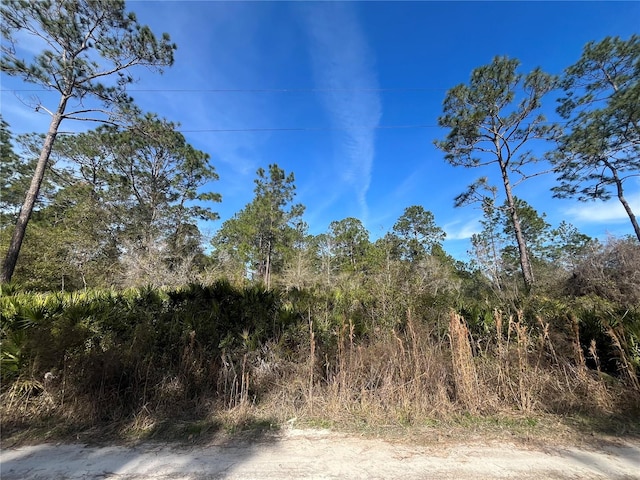 Appaloosa, Interlachen FL, 32148 land for sale