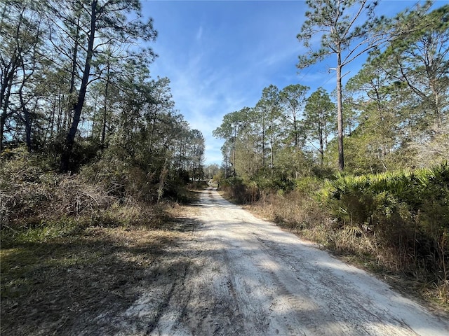 Listing photo 2 for Appaloosa, Interlachen FL 32148