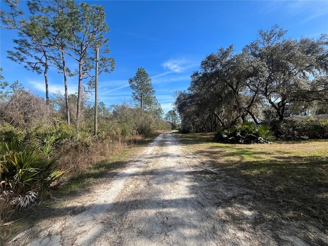 Listing photo 3 for Appaloosa, Interlachen FL 32148