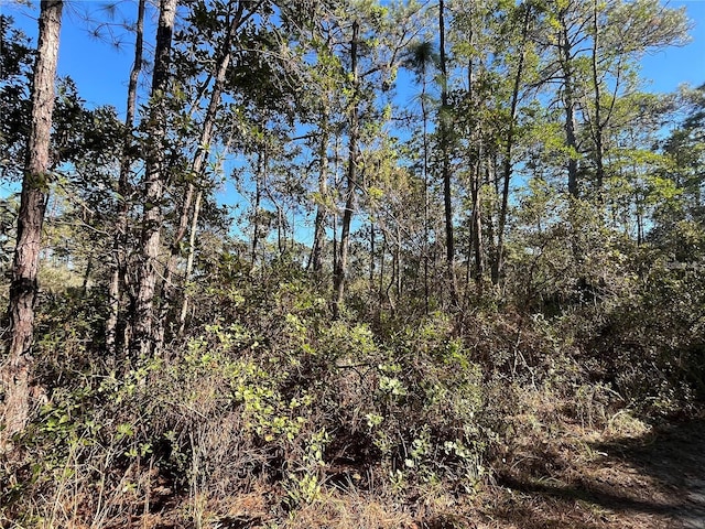 226 Incline Rd, Satsuma FL, 32189 land for sale