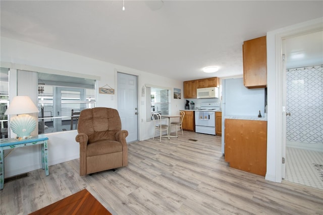 living room featuring light hardwood / wood-style flooring