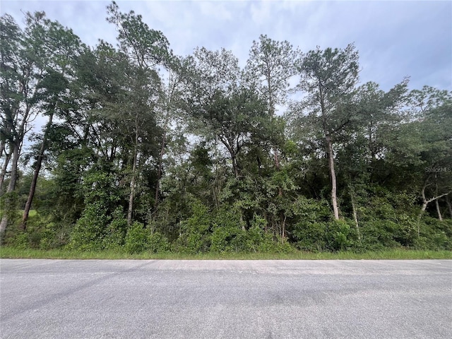 Hunter Hill Ave, Dunnellon FL, 34431 land for sale