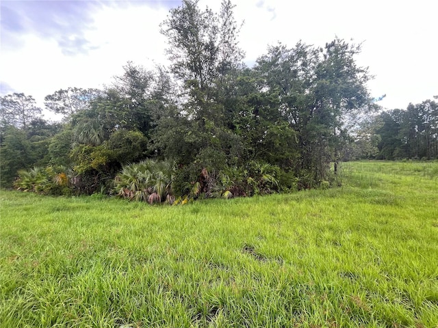 6883 St Johns Ave, Palatka FL, 32177 land for sale