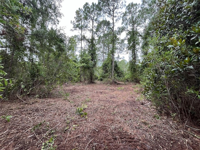 147 Roebuck St, Georgetown FL, 32139 land for sale