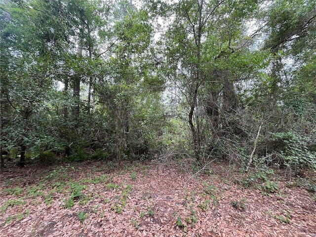 223 Ward Ave, Crescent City FL, 32112 land for sale