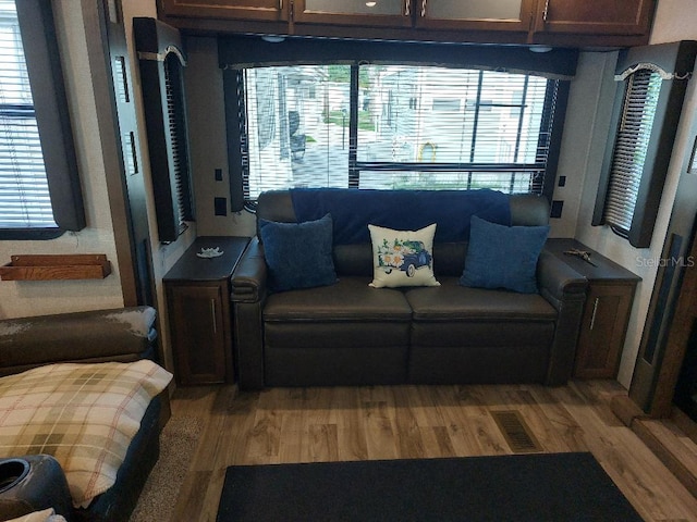 living room with a healthy amount of sunlight and wood-type flooring