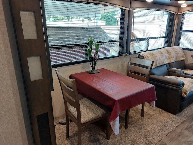 dining space with hardwood / wood-style flooring