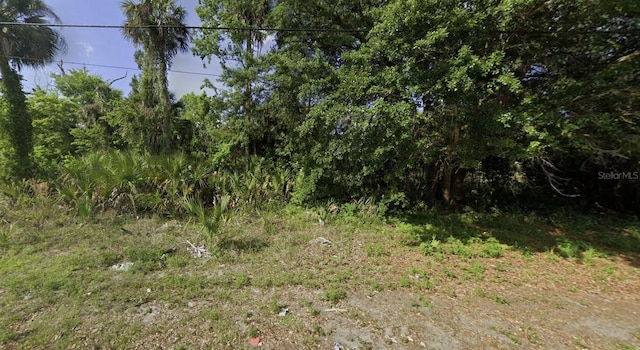 1312 Washington St, Palatka FL, 32177 land for sale