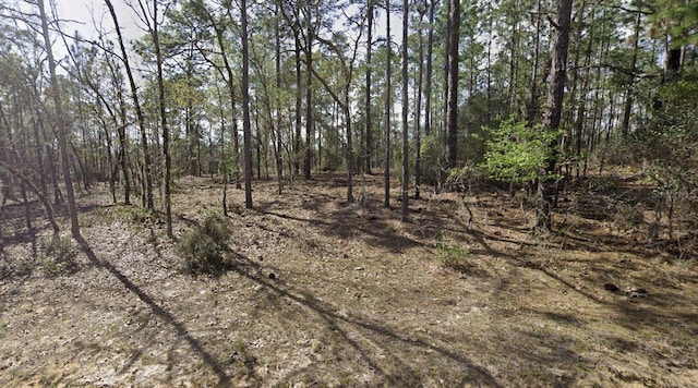 124 New York Ave, Interlachen FL, 32148 land for sale