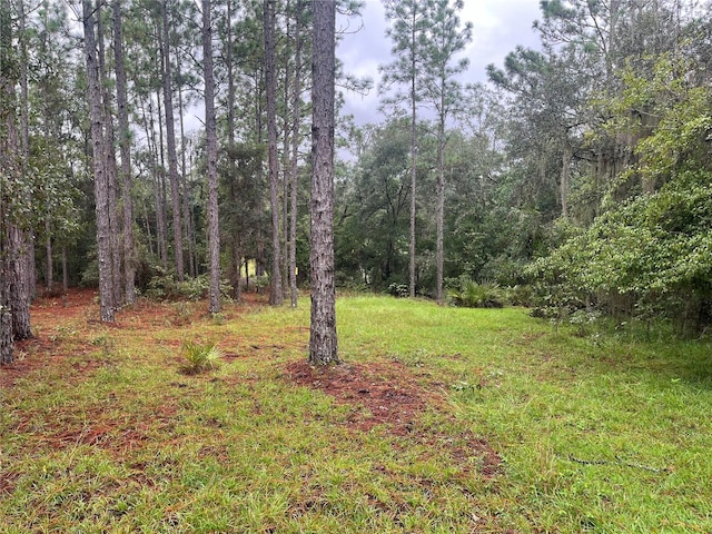 206 Wales St, Interlachen FL, 32148 land for sale