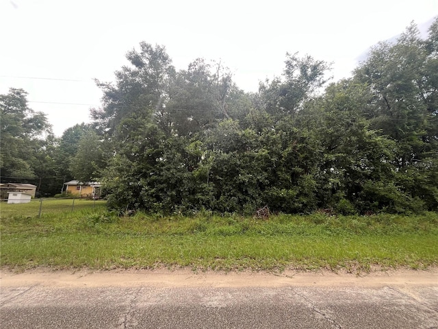 TBD Sioux Ave, Interlachen FL, 32148 land for sale