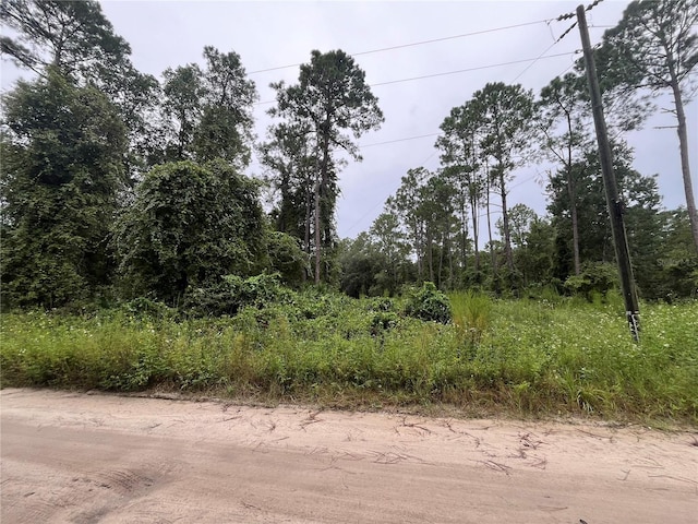 Hickory Nut Trl, Satsuma FL, 32189 land for sale