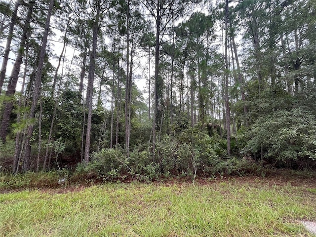 117 Mosswood St, Georgetown FL, 32139 land for sale