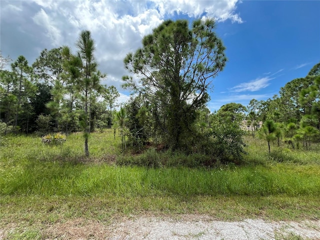 27141 Badger Dr, Punta Gorda FL, 33955 land for sale