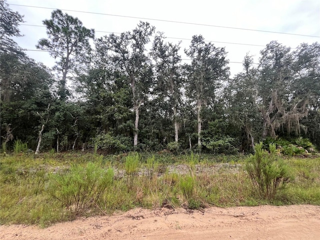 TBD Glisson St, Interlachen FL, 32148 land for sale