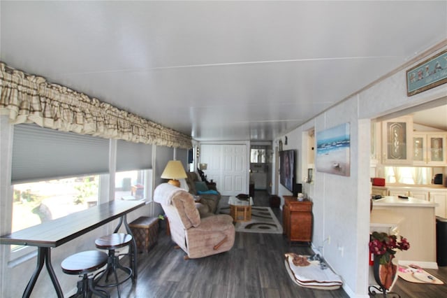 living area with dark wood-style floors